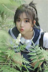 奖学金博士