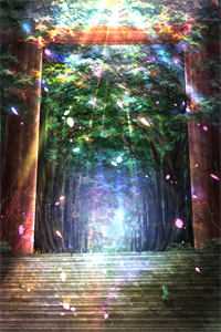 重生后，前世男神竟要和我结婚？