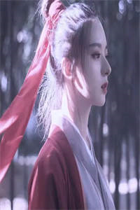 嫁侯爷后，将女她深藏功与名洛慈楚洵