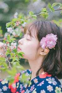 大唐逍遥王；李慎李世民畅读全文