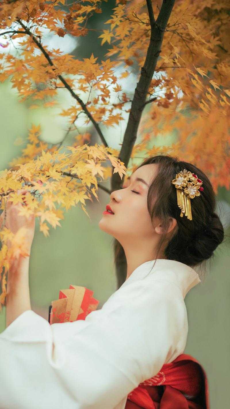 小说惊！上一世无视我的哥哥们说要宠我最全篇阅览