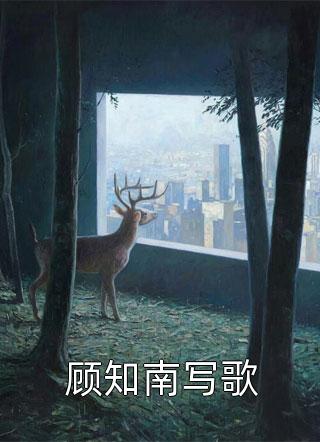 完整版声生不息