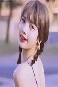 离婚后，我被小鲜肉们围满了小说