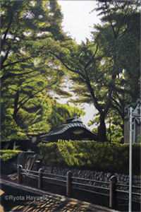 守寡后，京城纨绔全家宠翻啦在线阅读