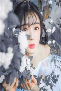 精彩小说搬空王府，下堂王妃踏上流放之路