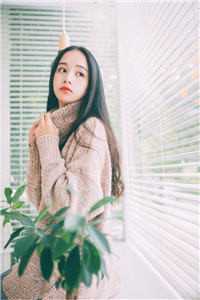 追妻火葬场：少夫人今天又硬气了精品选集