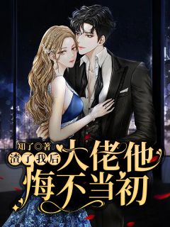 开局挽回老婆，他投身商界重启人生畅读佳作推荐