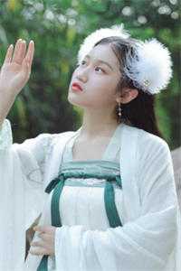 红楼之公子逍遥