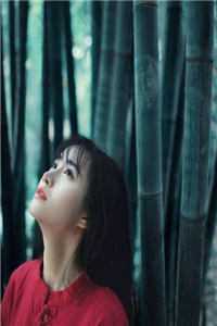 冒牌皇帝，后宫三千佳丽送上门