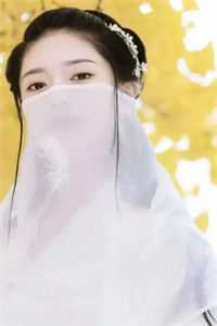 奉旨娶妻生子