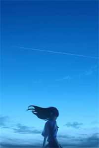 官海沉浮之美人泪