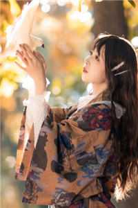 我的极品老婆畅读全文版