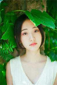 且以余生赴情深全章节阅读