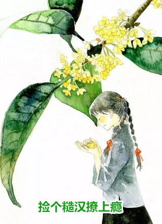农婿无双精品全篇