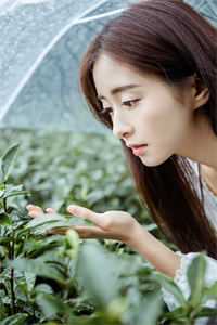 我医术无双，你却要我吃软饭？