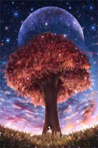 穷星落世，赐福众生完整版