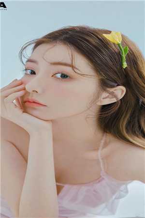 精品文军火贩子：开局先挣它五十万美金