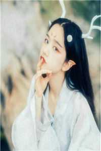 步步高升：从秘书到万人之上精选小说推荐