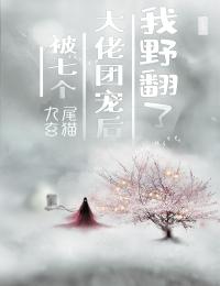 玺少,夫人又离家出走了畅读佳作
