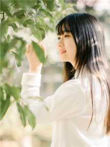 出山后，我一人屠尽妖魔精选小说推荐