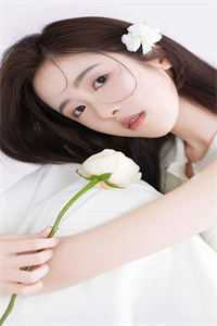 小说迎娶老婆后，他在官场乘风破浪