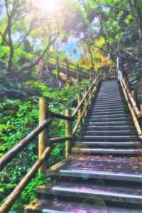 阅读全集巅峰对决