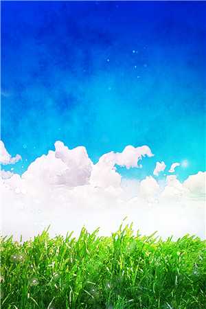 官场之野兽道