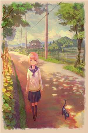 玩物畅读全文版