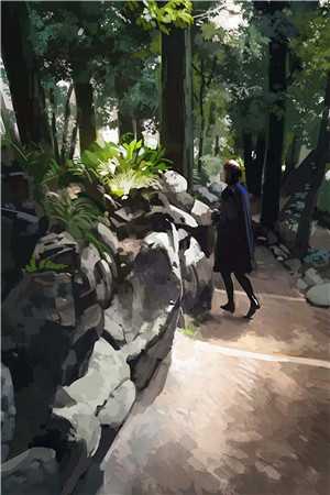 旅居：浪漫往事热门小说