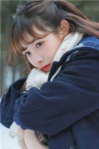 完整作品阅读完美人生，重启2006