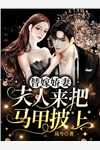 全本小说阅读超品神婿