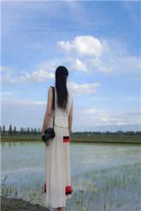 结婚堂弟把女朋友当作彩礼林枫陈婷婷