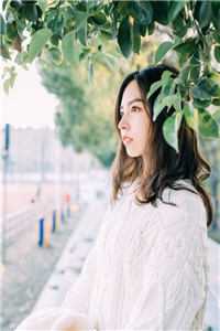 重生不讨好家人后，哥哥们后悔了畅销书籍