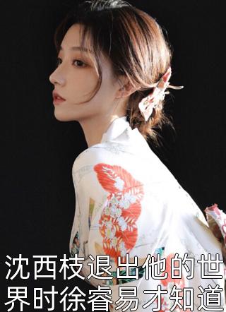 全本阅读官嫂