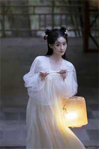 完整文集阅读官婿美人香
