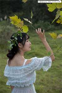 师娘，使不得全章节
