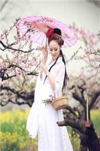 全集阅读彪悍王妃已上线，王爷却总宠她如宝？