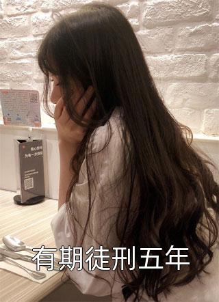 长篇小说阅读足智多谋