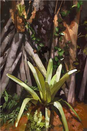 冲喜后，植物人老公宠她上瘾畅读精品