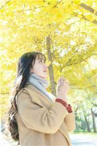 重生后闪婚首长，易孕军嫂养崽忙完整作品阅读