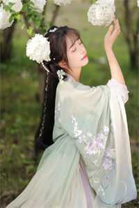 君王强夺臣妻，只为惊鸿一面精彩小说