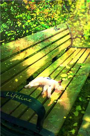 完整文本阅读盲人神医