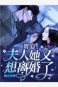 畅销小说权术官途