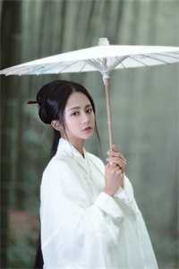 离婚后，我被小鲜肉们围满了畅销小说
