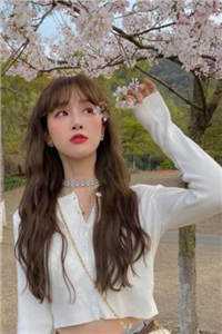 快穿女主:无尽世界的璀璨人生
