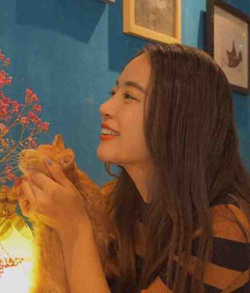 热门小说假小子,秦爷求你结个婚