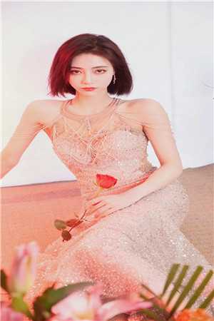 美人政道全集