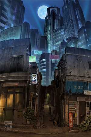 梅子黄时雨全局