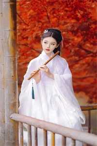 至高神婿知乎