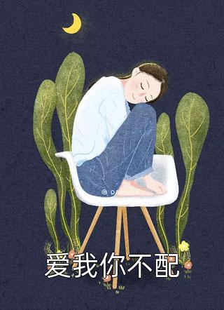 新任官途,我成了市长红人最(王子枫袁雯洁)在线_(新任官途,我成了市长红人最)免费在线